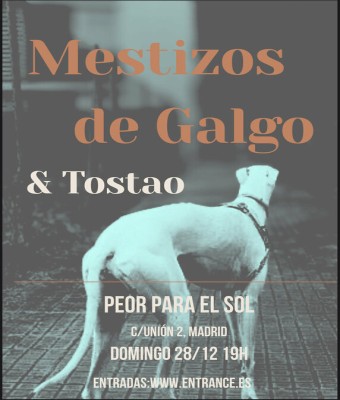 Concierto Mestizos de Galgo + Tostao en Madrid