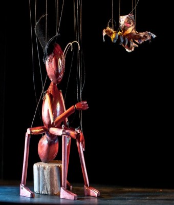 El Circ dels Insectes - 28È FESTIVAL INTERNACIONAL DE TEATRE DE TERESETES en Balears, Illes