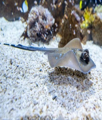 Entrada al acuario Poema del Mar en Las Palmas de Gran Canaria