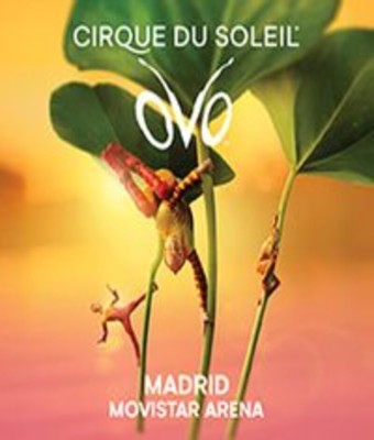 OVO Madrid