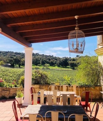 Bodega Doña Felisa: Visita guiada y cata de vinos o comida en Malaga