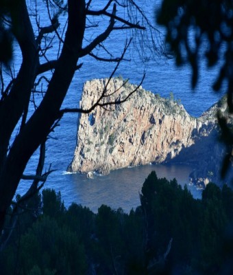 RUTA WOW - JOAN ALCOVER A LA SERRA en Balears, Illes