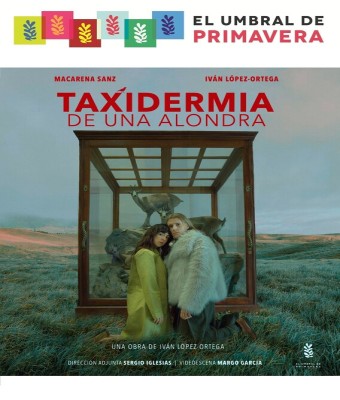 TAXIDERMIA DE UNA ALONDRA en Madrid