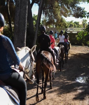 ???? Aventura a Caballo en Alcudia – ¡1 hora de Naturaleza y Diversión con Click Mallorca! ???? en Majorca