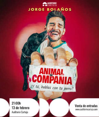 Animal de Compañía - Jorge Bolaños en Sevilla