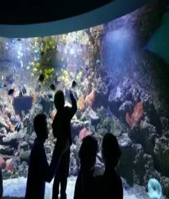 Acuario de Sevilla