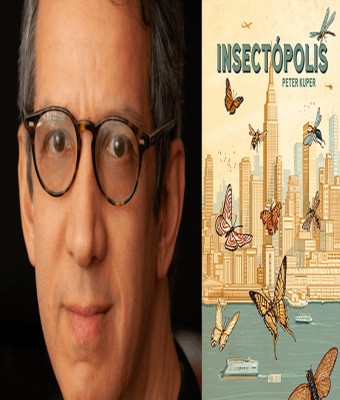 Finestres - Peter Kuper en Barcelona