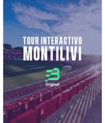 Tour Interactivo Girona FC, Estadio Montilivi
