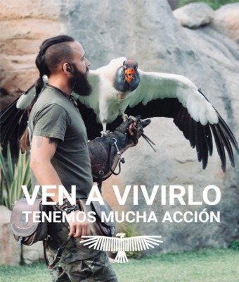 Jornadas Salvajes en Madrid