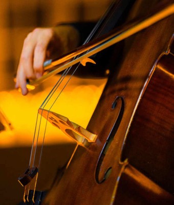 Paquete: Candlelight: Vivaldi y Las Cuatro Estaciones + Ballet of Lights en Bilbao