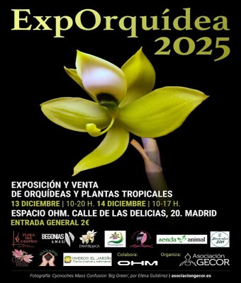 ExpOrquídea 2025. 13 y 14 de Diciembre 2025 en Madrid