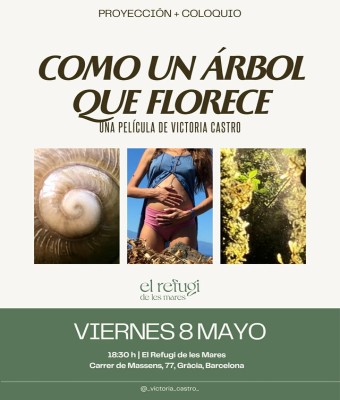 COMO UN ÁRBOL QUE FLORECE - El Refugi de les Mares en Barcelona