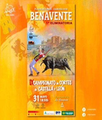 Concurso de cortes en BENAVENTE