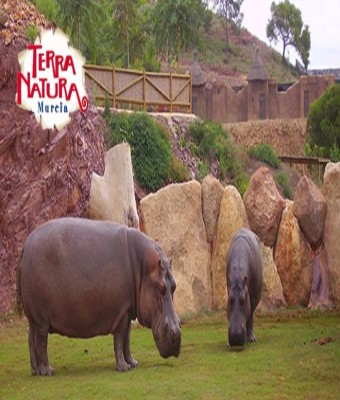 Terra Natura Murcia - Entradas y horarios