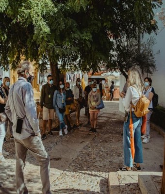 Recorrido guiado a pie por lo más destacado de Córdoba en Sevilla