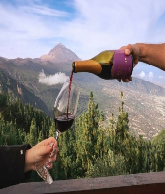 CATA DE VINOS: 8 DE NOVIEMBRE en Santa Cruz de Tenerife