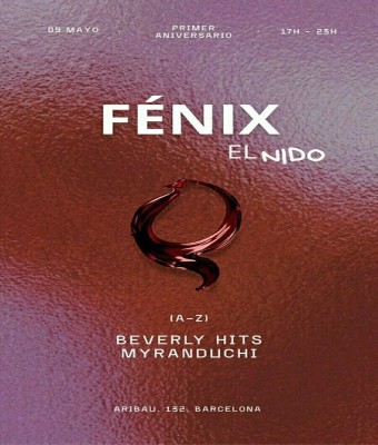 Fénix - El nido en Barcelona