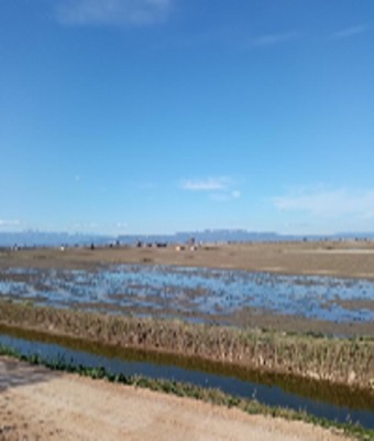 Visitas en el Delta del Ebro en Camarles