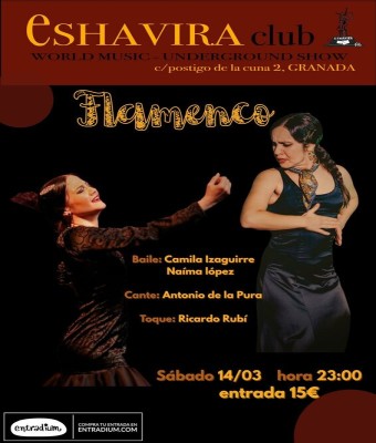 Espectáculo Flamenco  en Granada