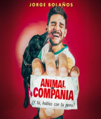 Animal de Compañía - Jorge Bolaños - Teatro Infanta Isabel en MADRID