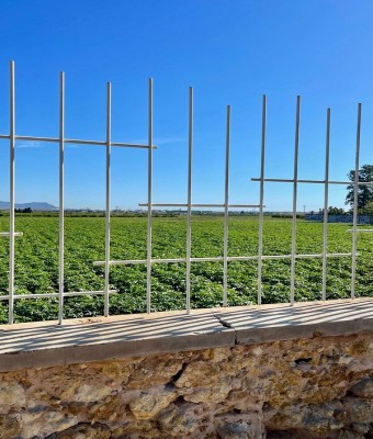 Villa Indiano organiza una limpieza de huerta  dentro de su campaña “Enamorats de l’Horta” en Valencia/València