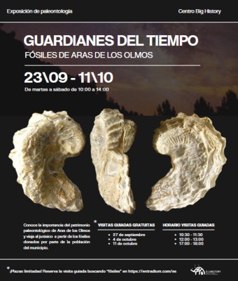 Guardianes del tiempo - Fósiles de Aras de los Olmos en Valencia/València