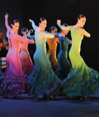 Ballet Nacional de España - Generaciones en Logroño (La Rioja)