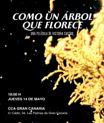Pase especial: COMO UN ÁRBOL QUE FLORECE (Las Palmas de GC) en Palmas, Las
