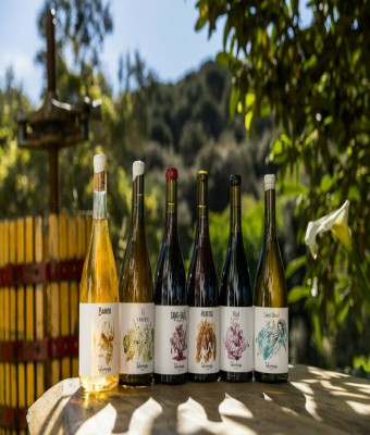 Tast Celler Tal Com Raja en Barcelona