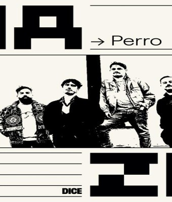 Perro en MAZO en Madrid