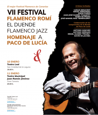 VII FESTIVAL FLAMENCO ROMÍ