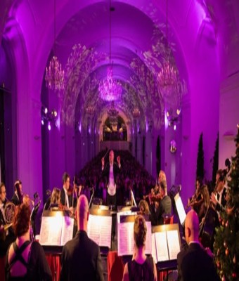 Descubra Schönbrunn: visita del palacio, cena y concierto en Viena