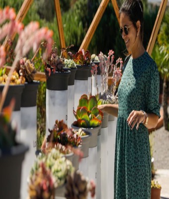 Tickets para BiBo Park (Ibiza Botánico Biotecnológico)