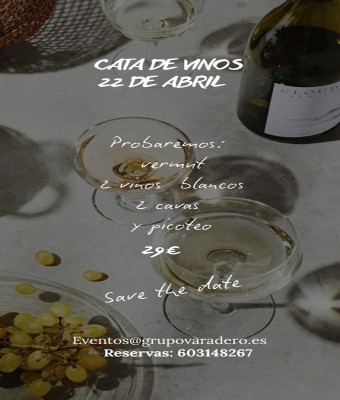 CATA DE VINOS en Valencia/València