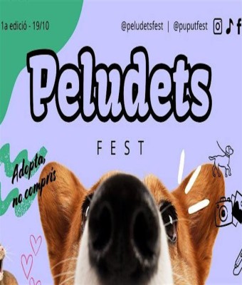 Peludets Fest en Girona
