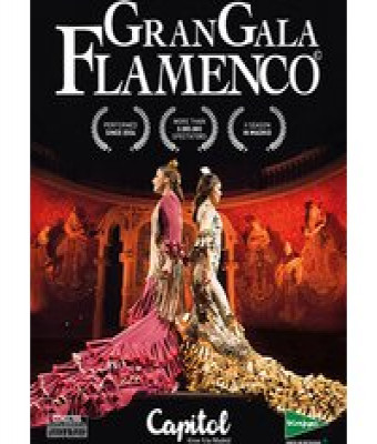 Gran Gala Flamenco en Madrid - Teatro - Cine Capitol