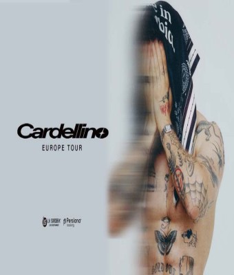 Cardellino en Palma de Mallorca