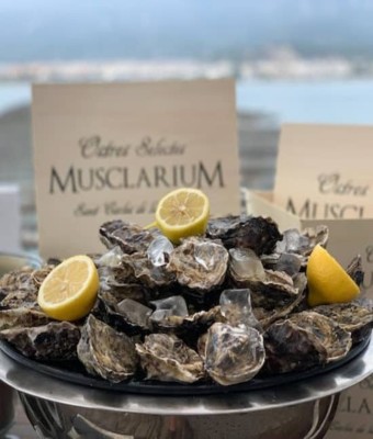 Musclarium: Ruta de las mejilloneras en Tarragona