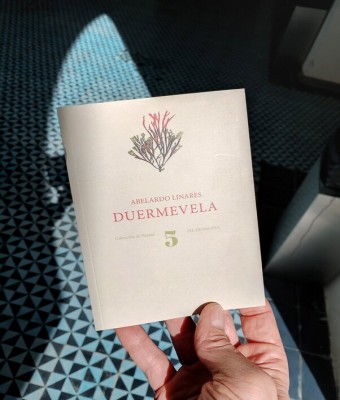 Presentación de “Duermevela” de Abelardo Linares con José Mateos y Antonio Molina Flores en Sevilla