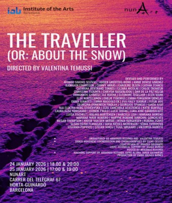 THE TRAVELLER (OR: ABOUT THE SNOW) - IAB Performance en Barcelona