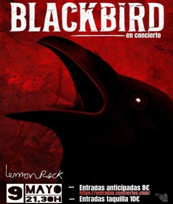 Blackbird en Lemon Rock Granada
