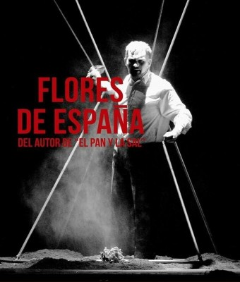 Flores de España en Cáceres
