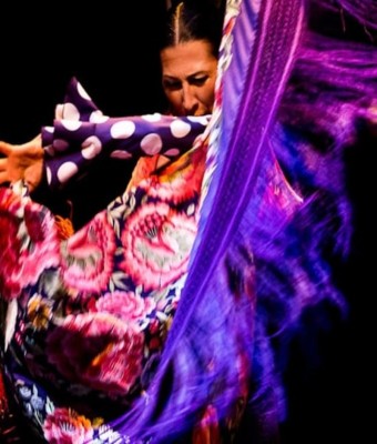 Museo del Baile Flamenco: Solo el espectáculo en Seville