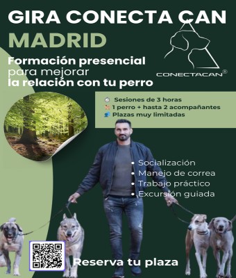 MADRID SABADO MAÑANA en Ávila