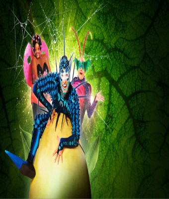 Cirque du Soleil - OVO en Madrid