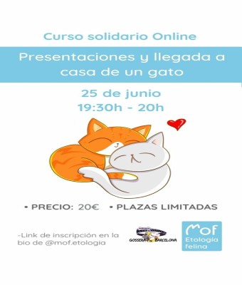 Jueves 25 - Curso Presentaciones gatunas en Barcelona
