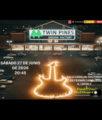 Twin Pines - Tributo Pop-Rock en Madrid