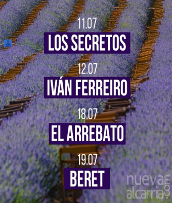 Festival de la Lavanda 2025 de Brihuega en Guadalajara