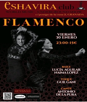 Espectáculo Flamenco  en Granada