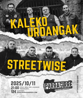 Kaleko urdangak+ streetwise en Bizkaia